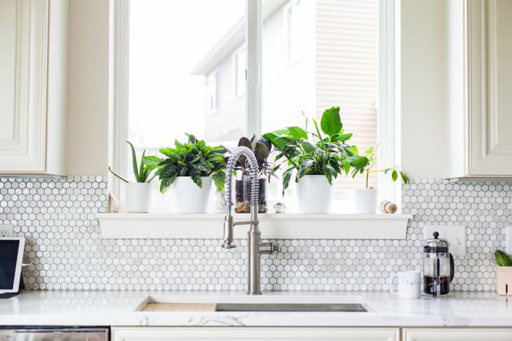 The Best Sponge According to Pro Cleaners Apartment Therapy